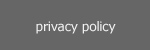 Privacy Policy, Product design